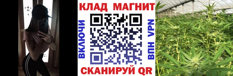 Где купить наркоту Шахты hydra рабочий сайт  КЕТАМИН  Alpha PVP  Меф  Кокаин  Бошки Шишки 
