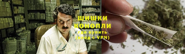 молекула духа Алзамай